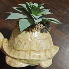 Hand Painted Vintage 1977 Ceramic Turtle Planter Beige Brown Green Glossy