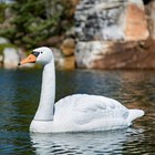 Aquascape  Floating Swan Decoy 74014