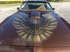 1979 Pontiac Firebird 
