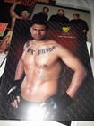 Cain Velasquez Signed Promo Ufc Photo