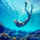 Mask Fin Snorkel Set  Travel Size Snorkeling Gear For Adults With Panoramic View