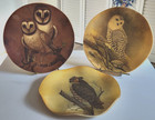 Trio Of Vintage E  Rambow Owl Plates Wall Hanging Decor Scalloped Acrylic Lucite