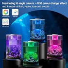 Smart Betta Fish Tank 3 Gallon Aquarium Starter Kit Self Cleaning Transparent 