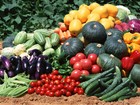 1 200 000 Seed  Garden survival Bucket Non - Hybrid  Non - Gmo  Heirloom Seeds