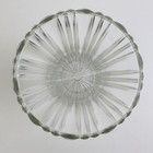 Wide Mouth Clear Glass Sturdy Ribbed Vase 7  Tall