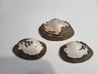 3 Large Natural 5-6  Freshwater Mussel Clam Shell Half Lot Mop Mother Of Pearl