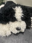 Fao Schwarz Bernedoodle Plush Adopt-a-pets Mix Pups Curly Fur 22  Stuffed Animal