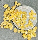     23k Gold Nuggets 6  Grams Placer Montana Natural  8 Quartz Creek Purity 96  