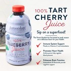 Antioxidant Solutions 100  Blueberry Juice Not From Concentrate  32 Fl Oz