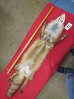 Tanned Red Fox With Feet Claws Winter Hide Animal Fur Good Leather
