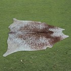 100  Real Natural Area Cow Hair On Cowhide Skin Floor Rug Carpet 65 x62   Cc1427