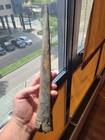 Very Large Megateuthis Gigantea  36 Cm  Osnabr  ck 