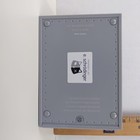 Thinkgeek Schr  dinger   s Cat Eschrodinger Box Physics Toy 2012 Quantum Science 