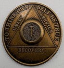 Aa Sobriety Chip Set 1 Year Roman Numeral I   Abstinence Bronze Recovery