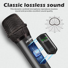 Wireless Microphone professional Dual Handheld Cordless Dynamic Mic System With