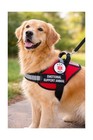 Emotional Support Animal Harness   Esa Dog Vest   K9 Harness With Id Pocket A   
