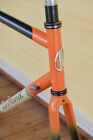 Lemond Buenos Aires Road Bike Frameset 58cm Steel carbon True Temper Ox Platinum