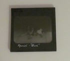 Glass Magic Lantern Slide Dog Called Dash No2 C1900 Victorian Photo Spaniel