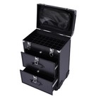 Professional Rolling Makeup Cart Case Cosmetic Trolley Storage Organizer Case
