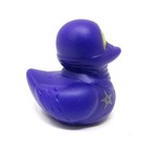Ninja Rubber Duck Purple 2 Inch Duckie Collectible Jeep Gift Hide On A Cruise Q