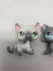 Littlest Pet Shop Lps 125 126 Authentic White Grey Shorthair Cat Lot