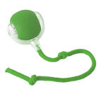 Automatic Rolling Ball Smart Cat Dog Toy Electric Pet Self-moving Kitten Game Us