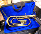 Baritone Horn Made Of Pure Brass In Golden Polish   Cushion Case   Free Shipping