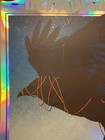 Death Cab For Cutie Poster The Postal Service Raleigh 2024  Foil X 20 Loeffler