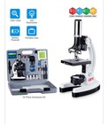 Bnib Education Bundle Amscope Kids 52-piece Microscope Set   Biology Slides 