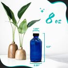 Nevlers 8 Oz Boston Round Cobalt Blue Glass Bottles  set Of 12 