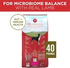 Purina One Plus Dry Dog Food For Adult Dogs  Real Protein Rich Natural 40 Lb