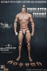 Zc Toys 12inch Muscular Male Action Figure Man Body Fit 1 6 Ht Head  Model Doll