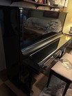 1977 Yamaha U3 Upright Piano