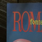 Fontaines D c  Romance  11x17 Record Store Promo Poster  Rare 