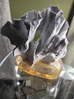 Blue Coral On Acrylic Base