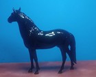 Breyer Premiere Club Cosimo 2025 Glossy Dapple Black Nr