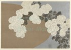 Chrysanthemum Flowers Japanese Antique Art