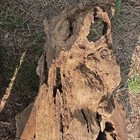 Natural Weathered Wood Piece For Woodworking And Craft Projects