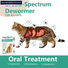 Cat Dewormer For Cats   Kittens -broad Spectrum Triple Wormer Tablets White