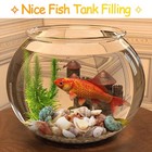 80  Pcs Natural Seashells  Mixed Starfish Sea Shells For Crafts  Various Sizes