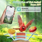 Smart Bird Feeder With Camera  Outdoor Bird Watching Camera House With Solar    