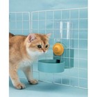 40oz Automatic Hanging Pet Feeder Water Dispenser Rabbit Guinea Pig Ferret New
