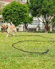 Dog Leash Long Obedience Recall Foot Feet Training Lead 15 Or 30 Ft