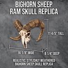 Bighorn Sheep Skull Replica   Weathered Polyresin   16 1 8  W   Home D  cor