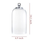 Kmwares Clear Glass Display Dome Cloche Bell Jar Tabletop Decorative Case