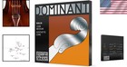 Thomastik Dominant 135b Medium Tension Violin Strings - Rich Tone   Flexibility