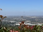 Rose Hills Cemetery Plot  2 Side By Side Plots  Dawn Terrace Highest Best View 