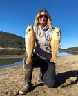 New Trout Fish Bait Scent Oil  Rowdy Trouty  2oz Bottle Strong Scent  