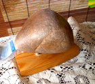 Stone Rock Wall Hook Cottage Beach Nwt Wood Coastal