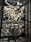 Spine Bones ribs oddities real Taxidermy